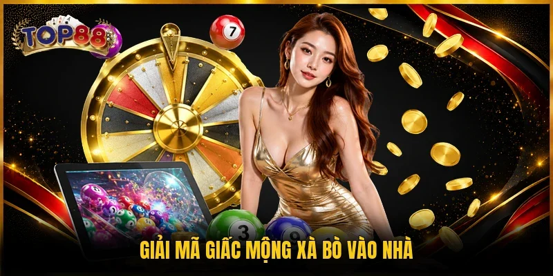 Nằm Mơ Thấy Rắn - Top 1 Các Con Số Nên Ưu Tiên Chơi Đề 3 Giải mã giấc mộng xà bò vào nhà
